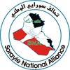  شهادات من ميادين الحملات الانتخابية:-