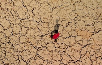الجفاف يجتاح أهوار العراق.. انعدام تام للتنوع الإحيائي في 