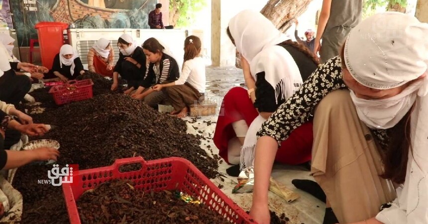 طقس مقدس يقام سنوياً.. بدء مراسم