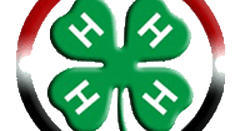نادي الحلم 4H في كربلاء في ورشة عمل بعنوان